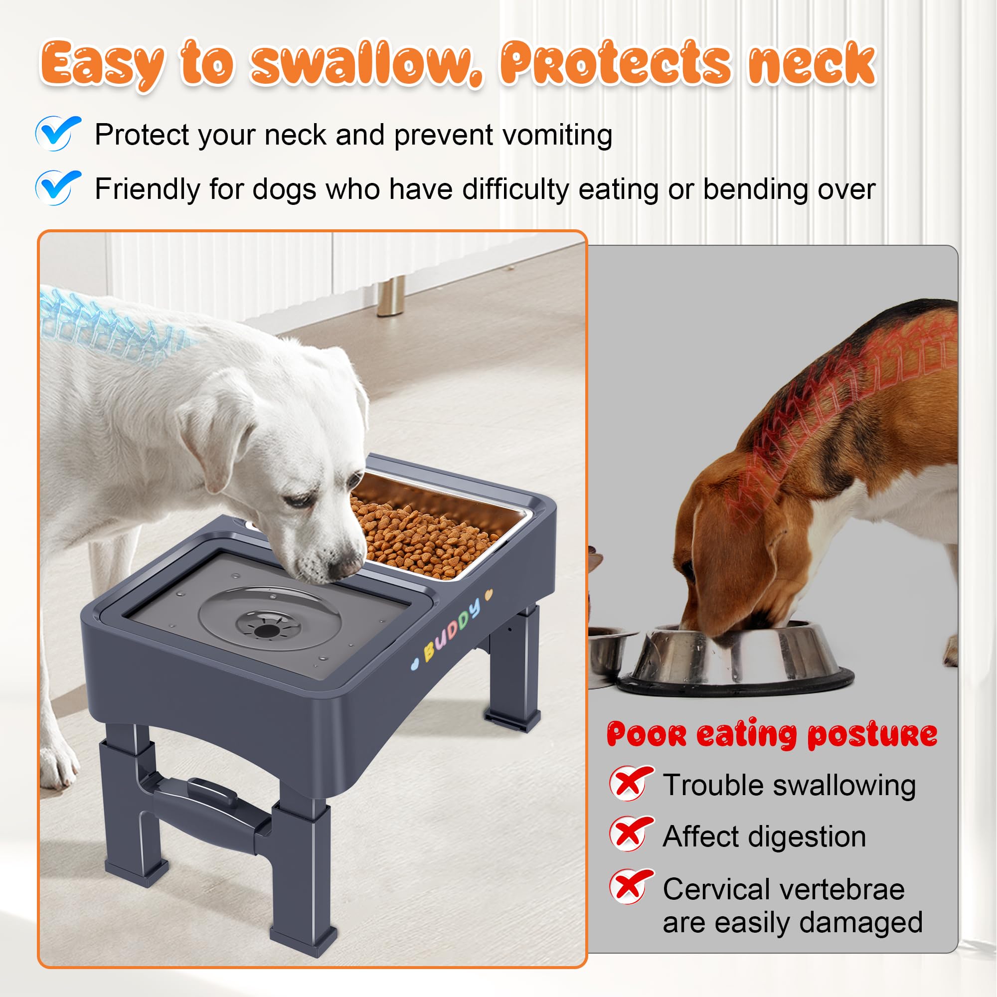 Decflow stainless steel bowl gleams and cleans easily for every meal.