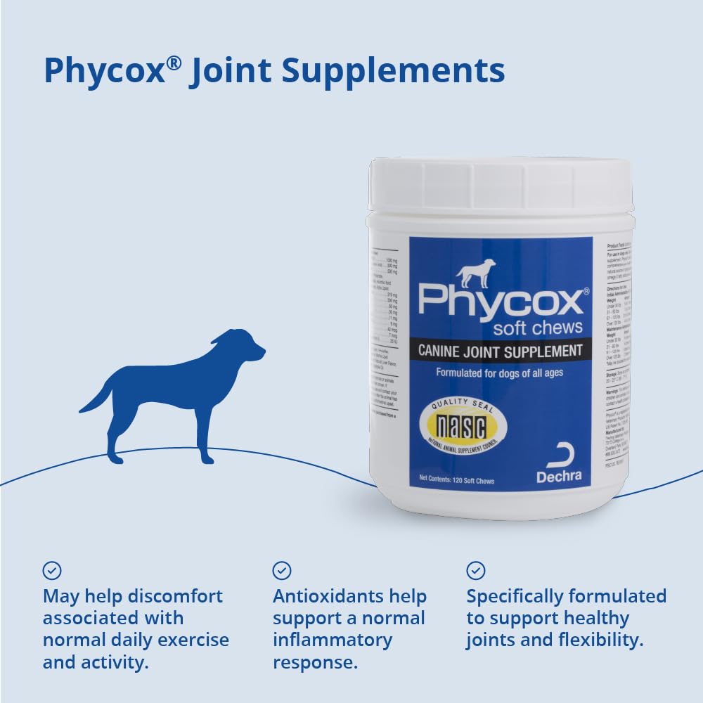 Dechra Phycox soft chews in a bowl highlighting chewy texture