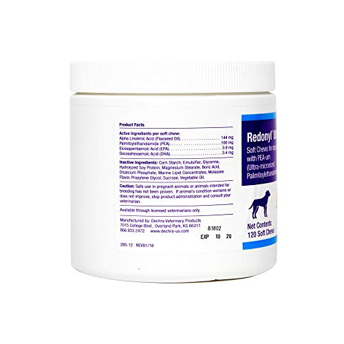 Dechra Redonyl soft chews dog eating demonstrates palatable, allergy-friendly daily support.
