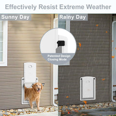 Decormax dog door wall steel-frame shows durable construction for strong chewers.