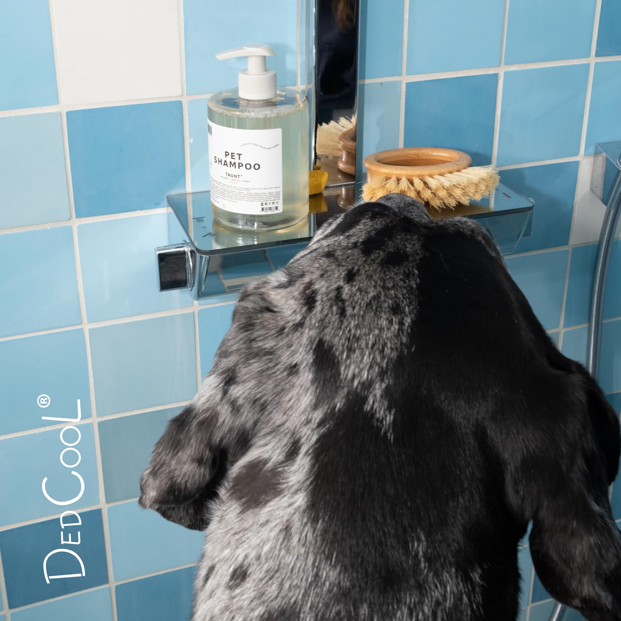 DedCool packaging highlights vegan, cruelty-free shampoo for eco-conscious homes