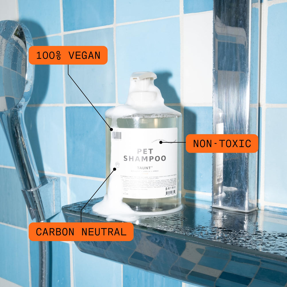 DedCool pet shampoo pour captures easy application during grooming session
