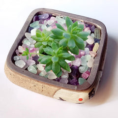 DEEDOCHY crystal chips for aquariums create a fairy-tale layout for hobby fish.