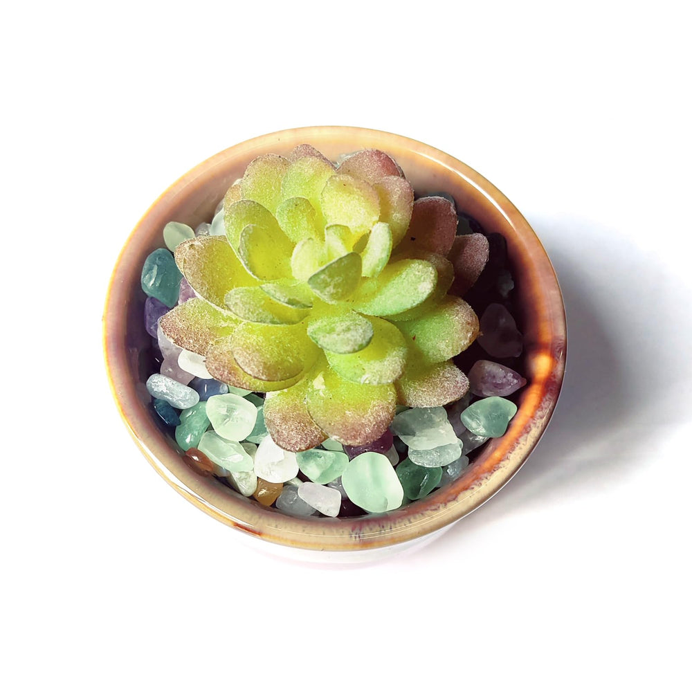 DEEDOCHY vase filler rocks enhance shelves and centerpieces with natural luster.