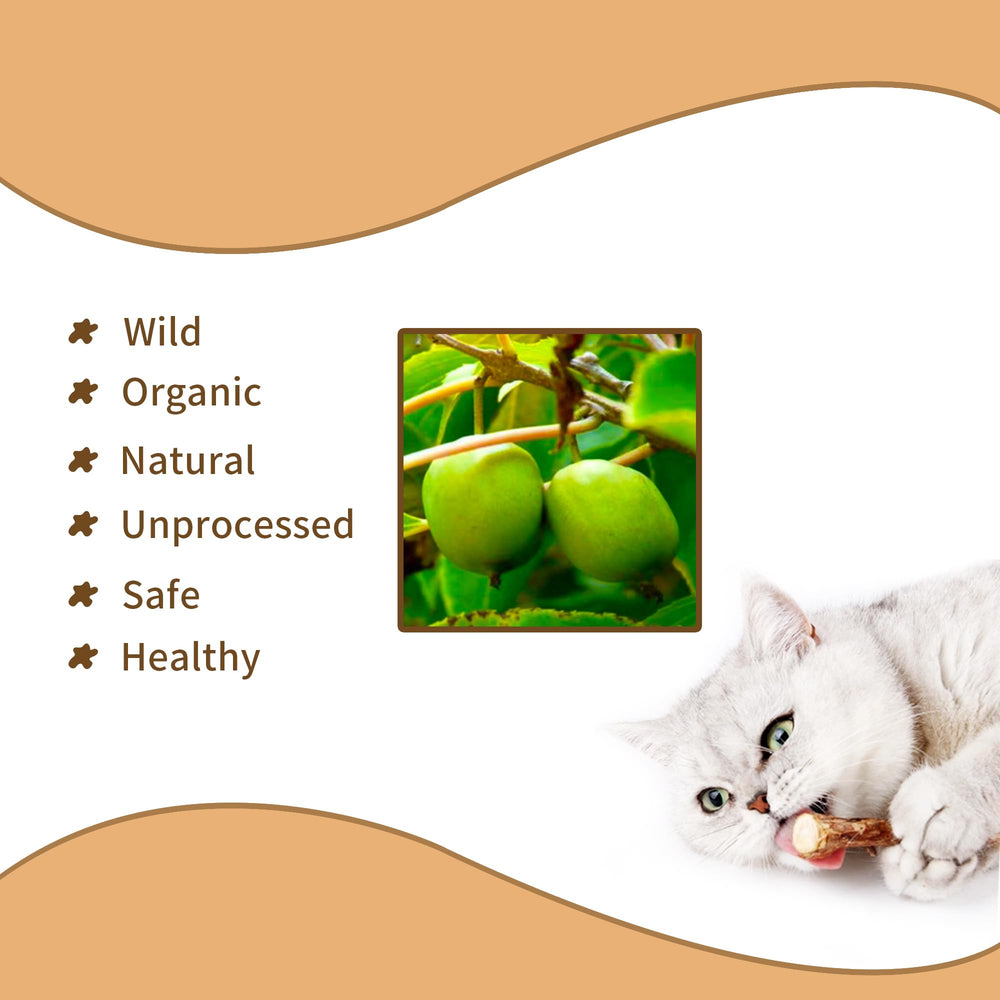 Deegufa silvervine sticks cat-chewing-action — cat chews for tasty stimulation and entertainment.