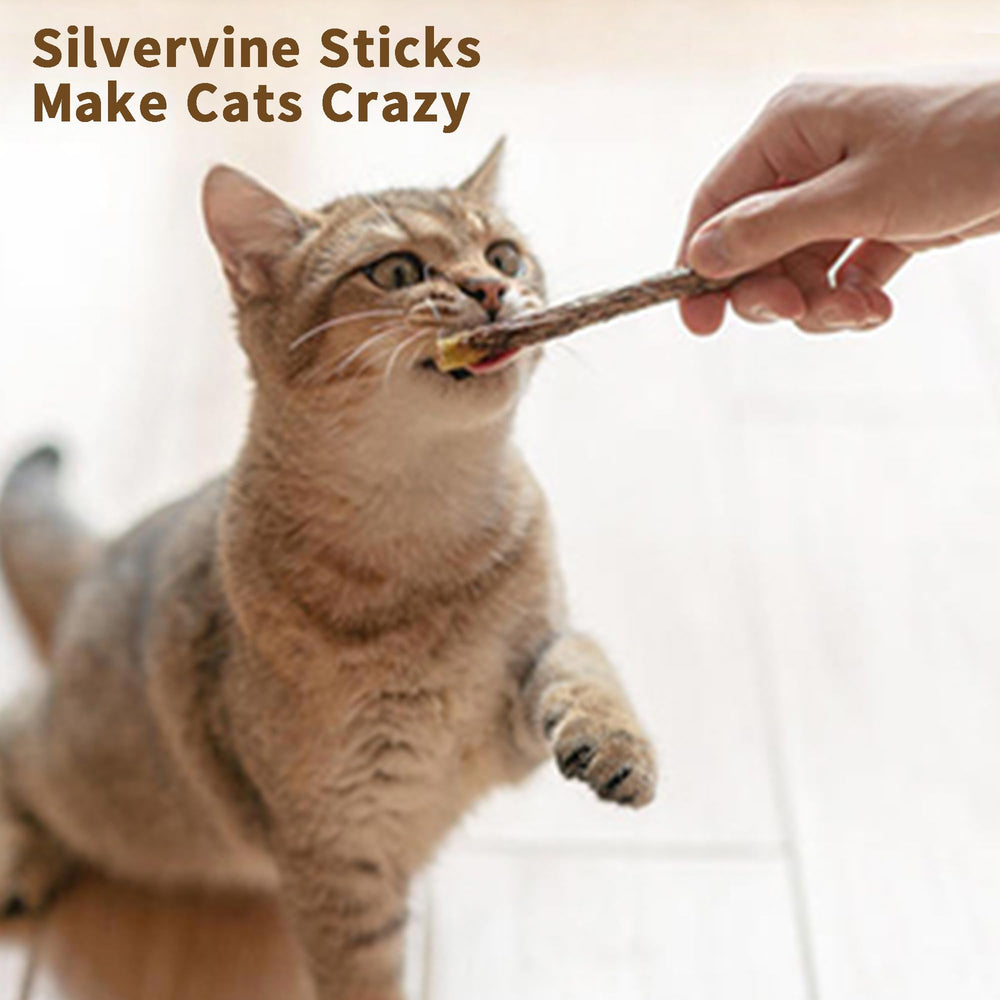 Deegufa silvervine sticks cat-nature-scene — indoor natural toy for daily feline entertainment.