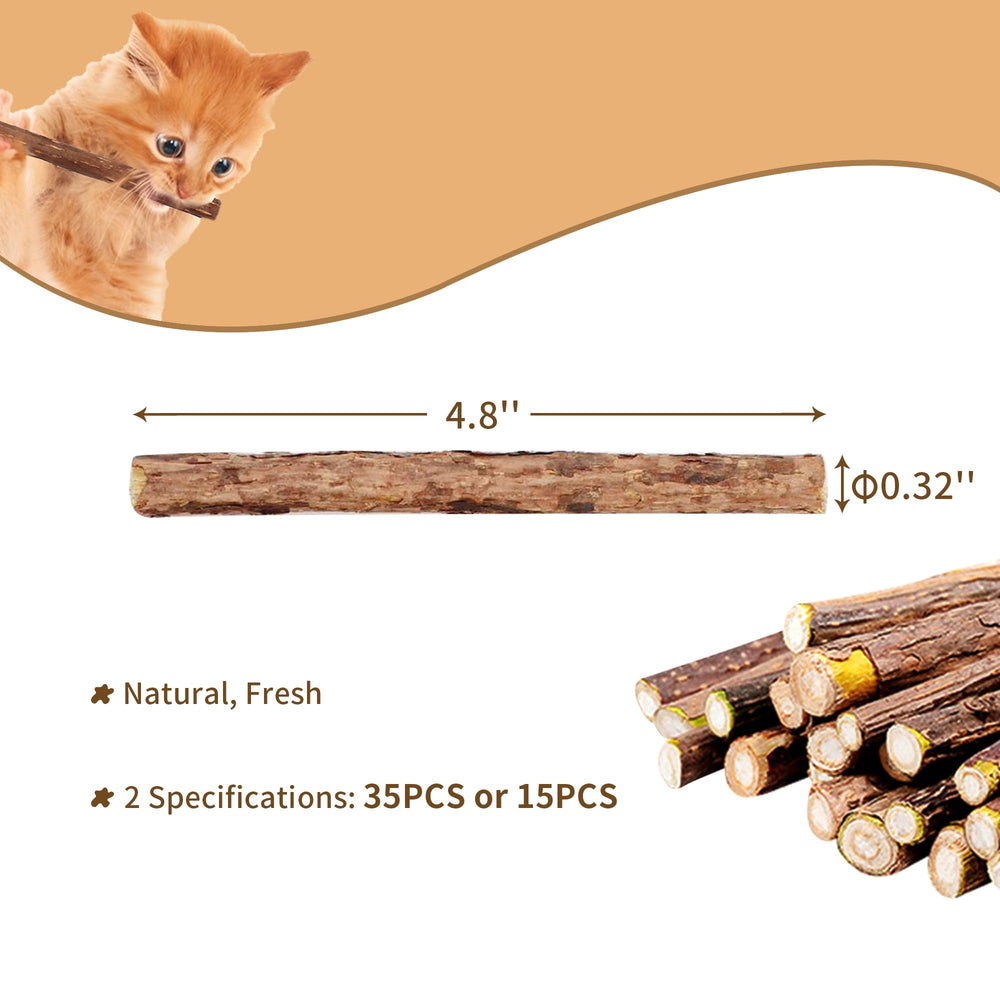 Deegufa silvervine sticks kitten-teething — kitten teething and oral exploration with Deegufa.