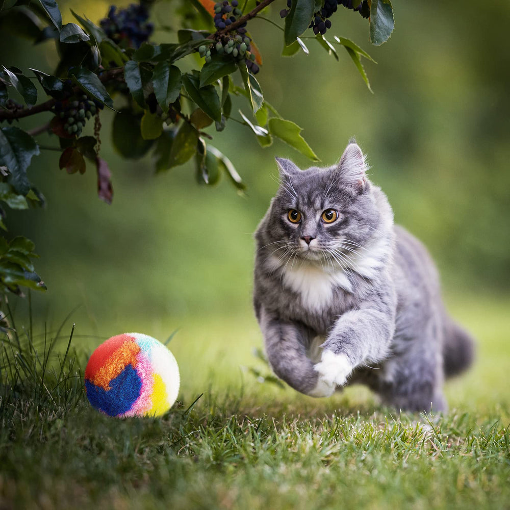Deekin pom pom balls small size ideal for kittens to pounce and chase.