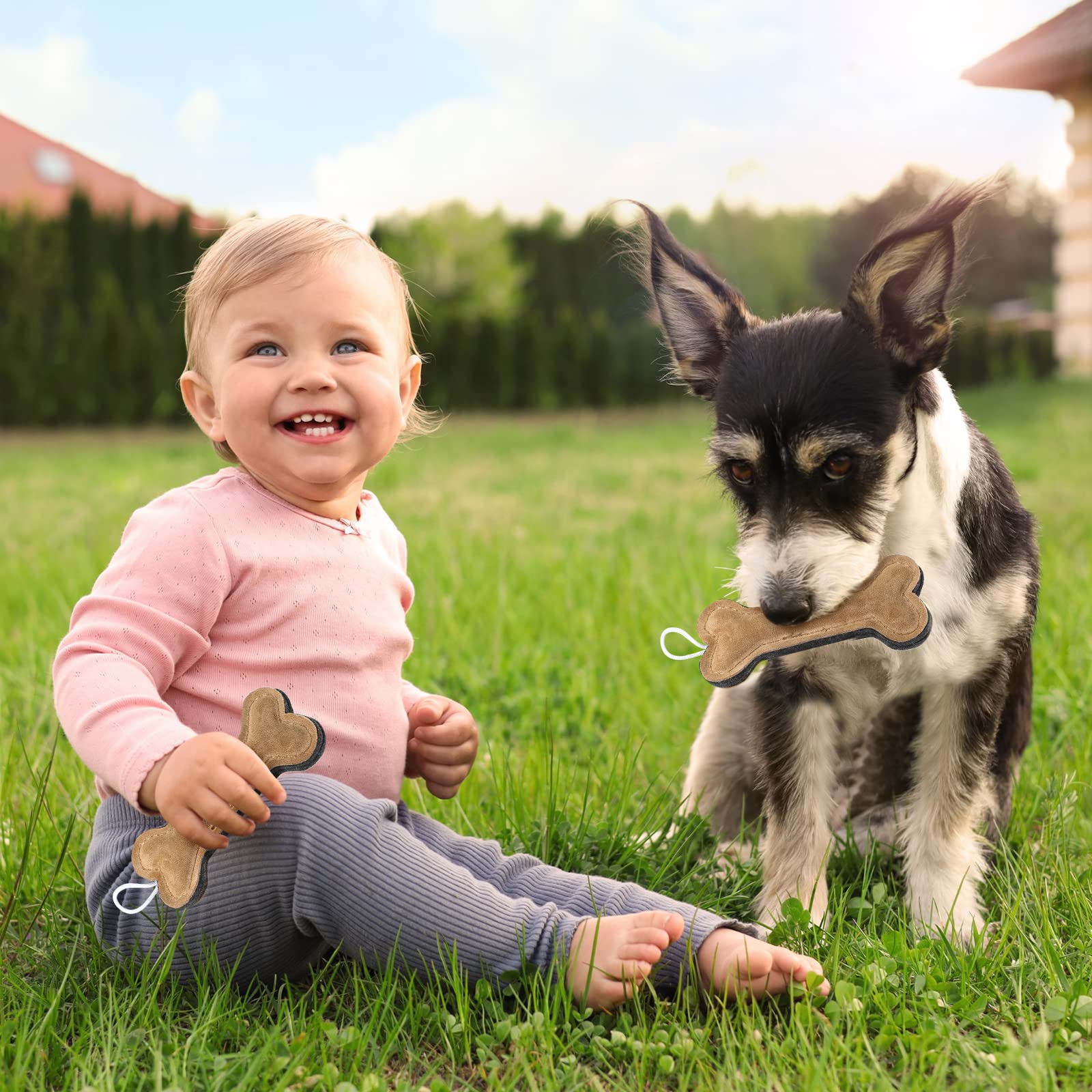 Deekin playful canine in action showcases energy-burning chew time.