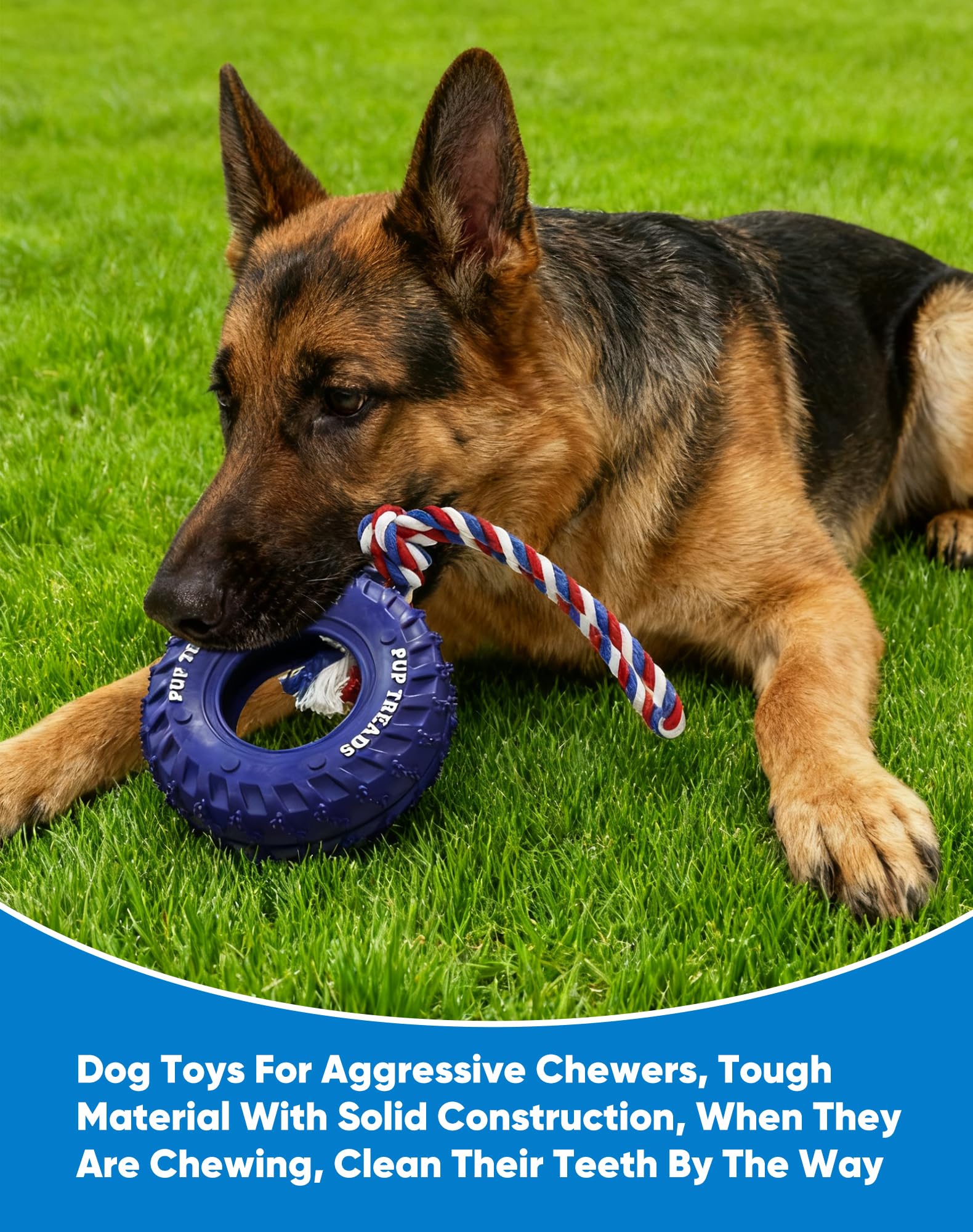 Deeow BPA-free natural rubber toy is safe for long-term chewing.