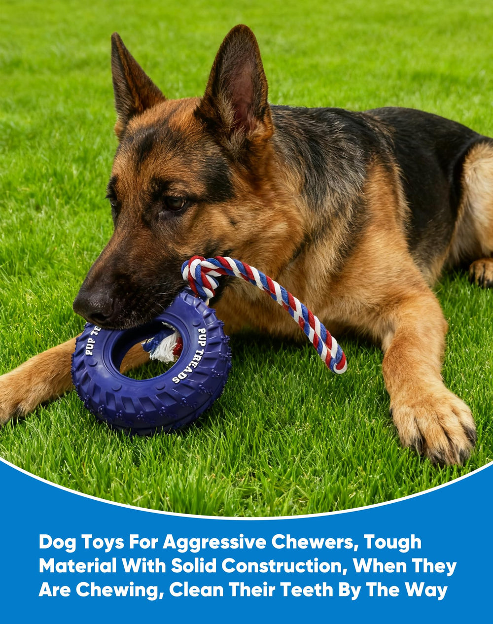 Deeow BPA-free natural rubber toy is safe for long-term chewing.