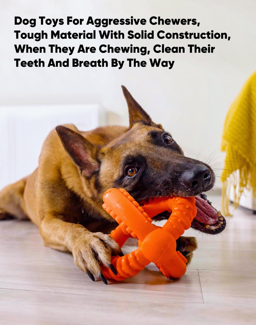 Deeow Chew Proof Toy demonstrates dual-purpose two-in-one design for flexible fun.