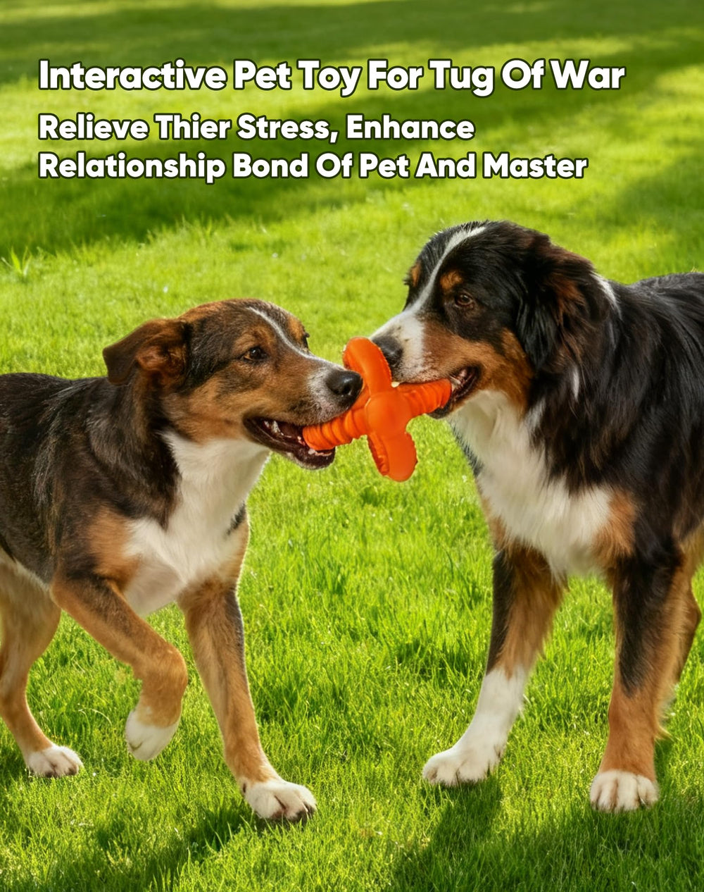 Deeow Chew Proof Toy shows secure hand grip for safe interactive play.