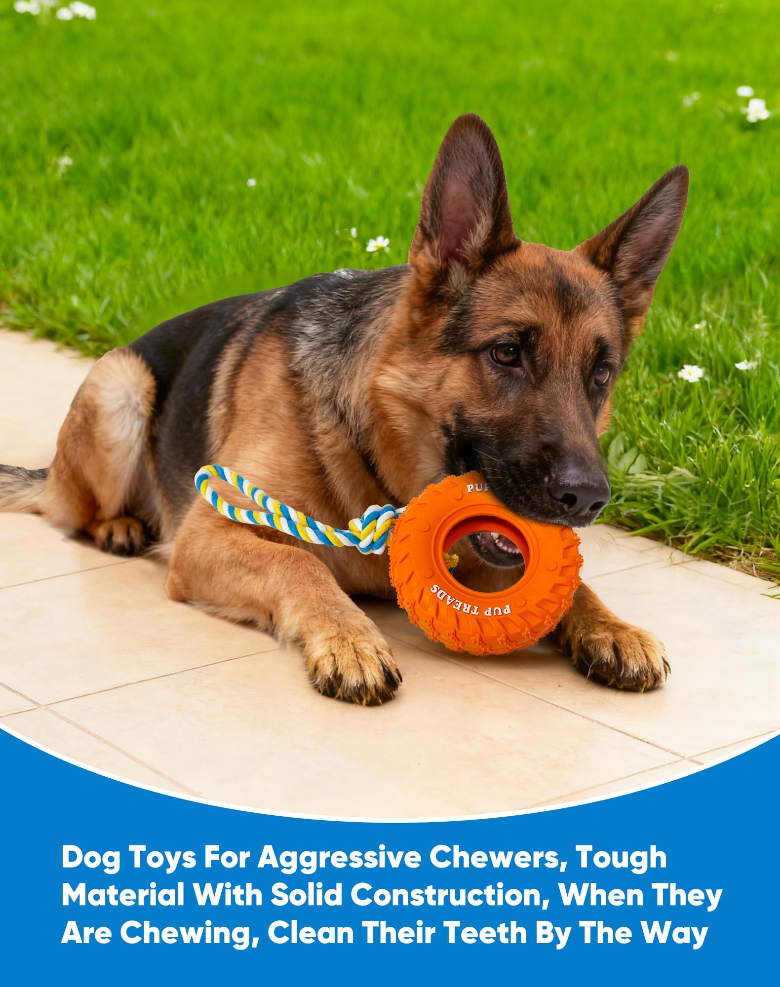 Deeow dog tire toy 6-inch orange is BPA-free and odorless for safe chewing sessions.