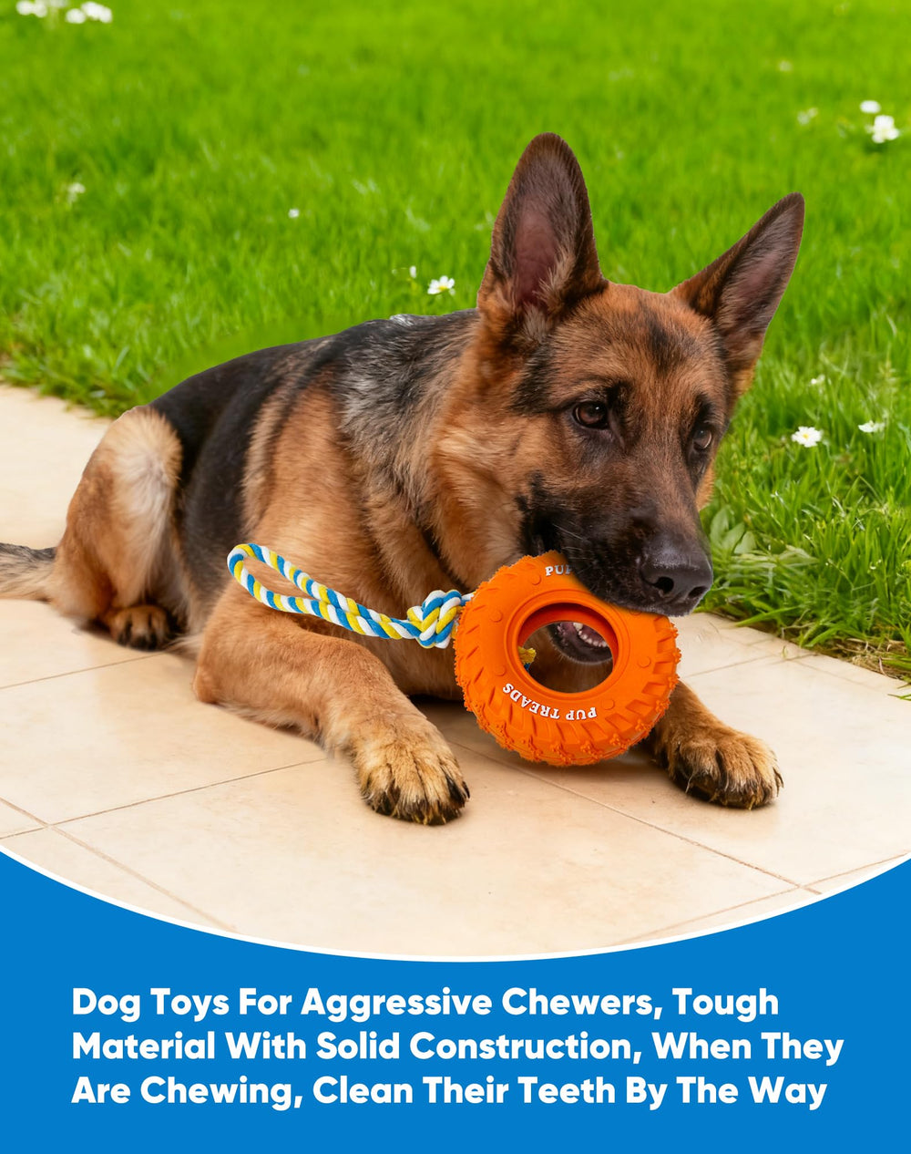 Deeow dog tire toy 6-inch orange is BPA-free and odorless for safe chewing sessions.