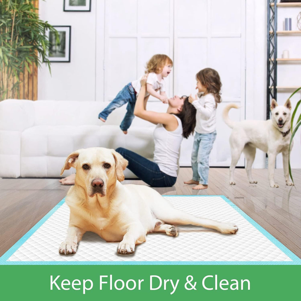 DEEP DEAR 30x36 inch puppy pads ideal for travel and hotel stays