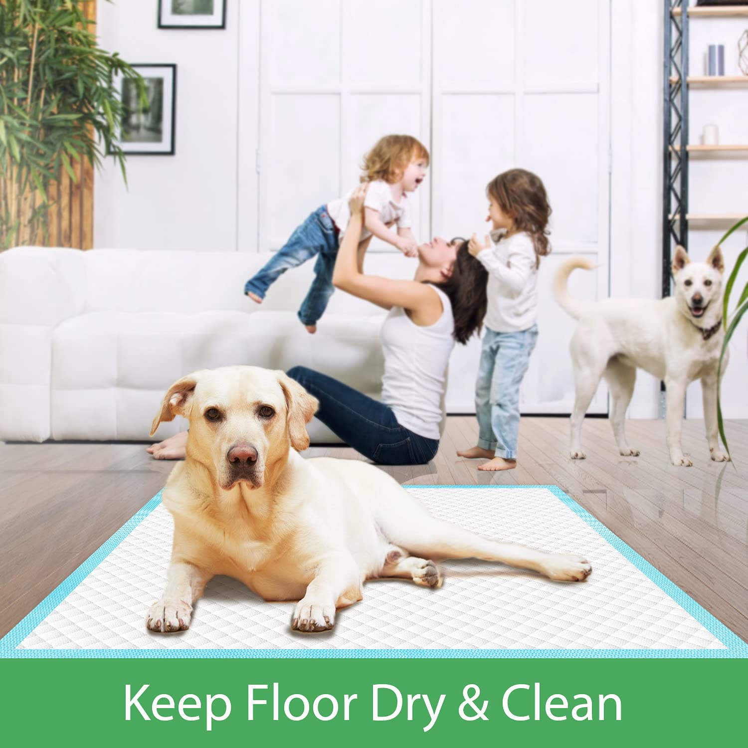 Deep Dear customer support with 24-hour response promise.