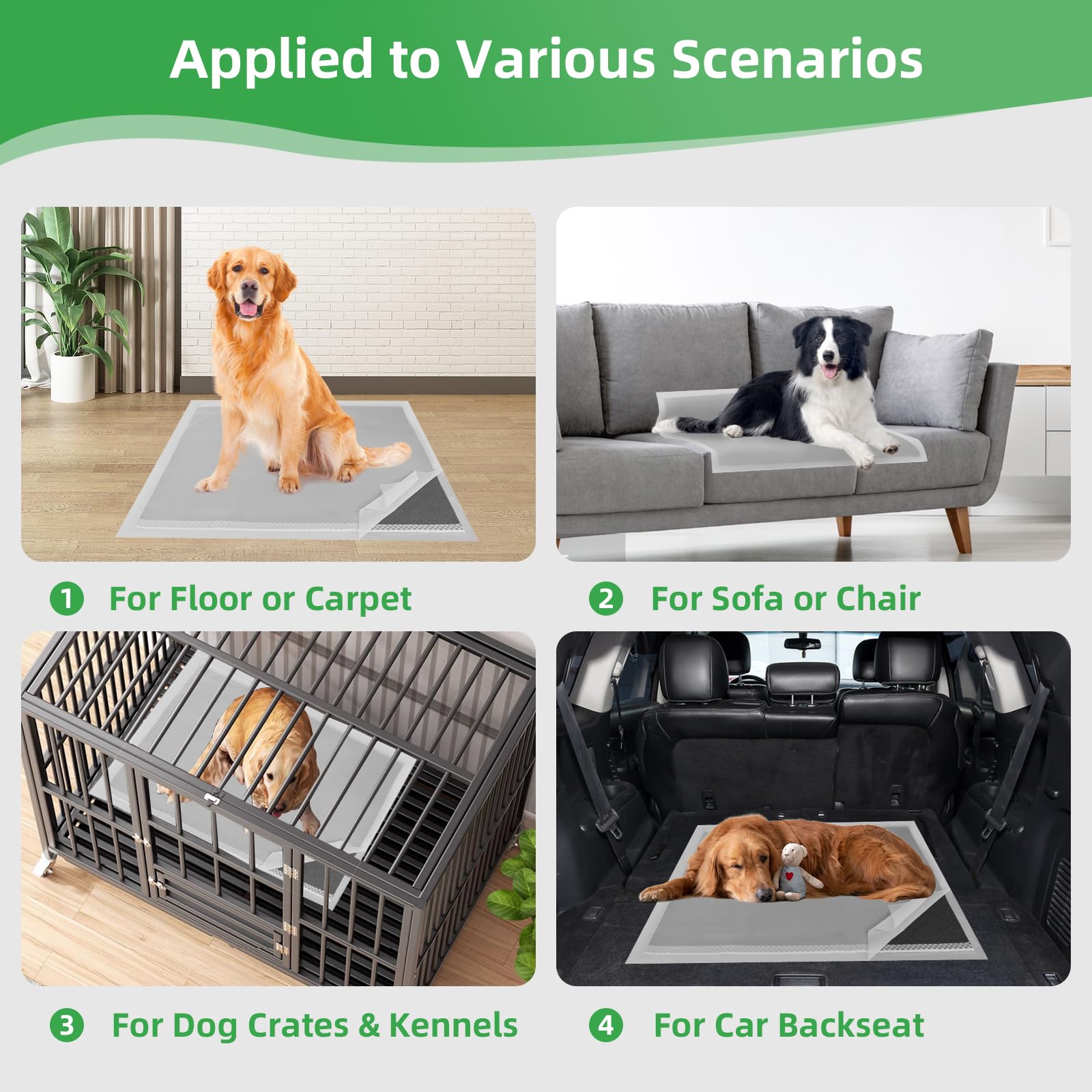 Deep Dear indoor and outdoor use for potty training scenarios.