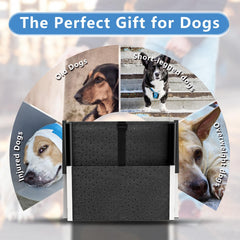 DeerGym dog stairs non-slip Oxford fabric surface enhances grip.