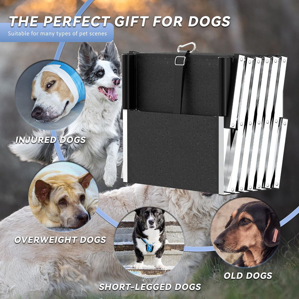 DeerGym dog stairs non-slip surface with paw prints for safe climbing on wet floors.