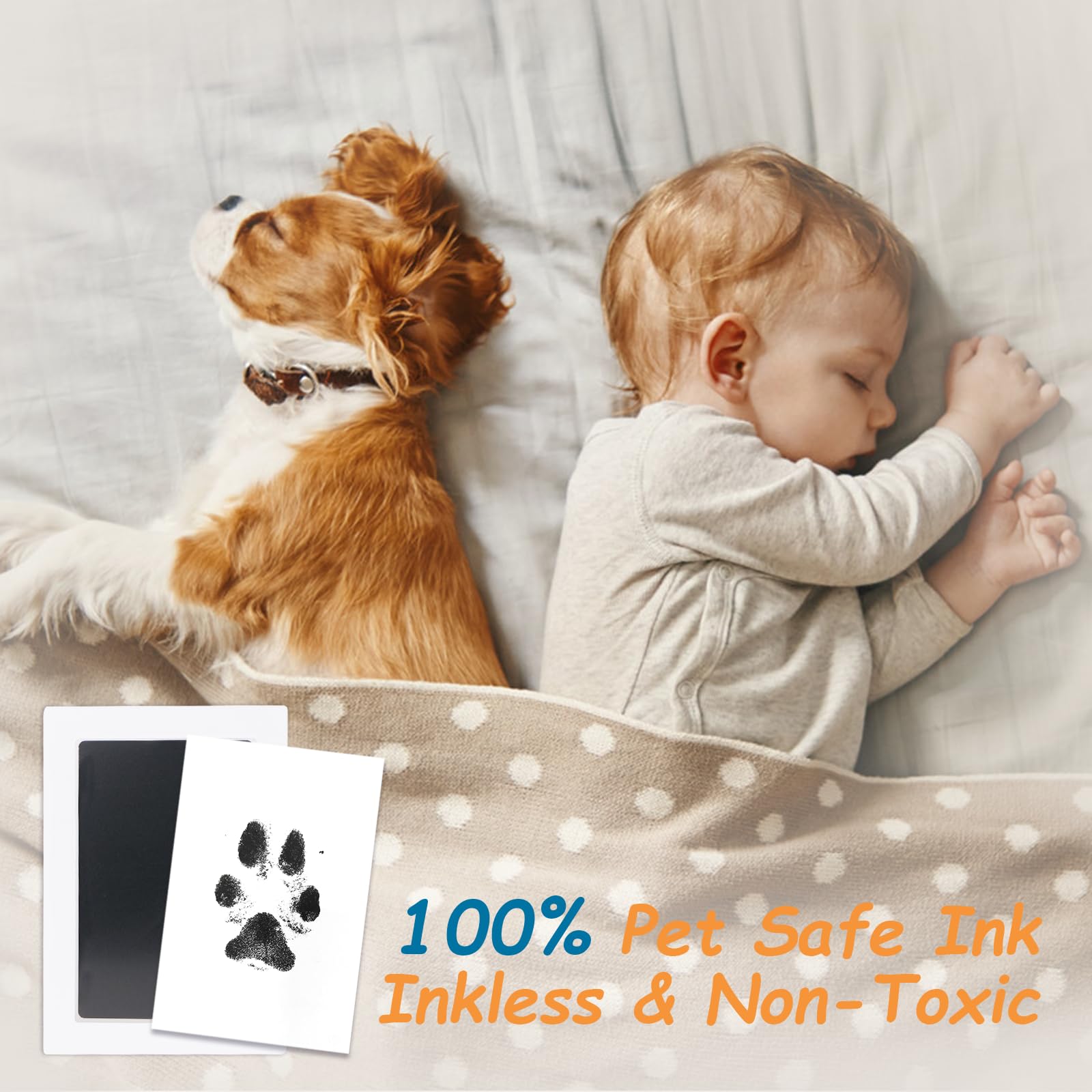 DeerZone Inkless Paw Print Kit inkless pads for clean paws