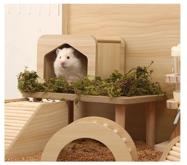 DEFKIYT hamster play wooden platform in cage showing increased activity space