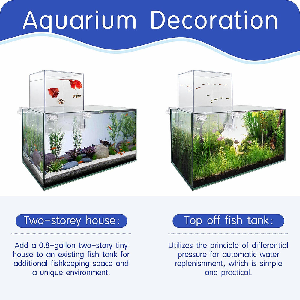 DEGGOX increases-fish-activity-area reveals added vertical space for more active fish.