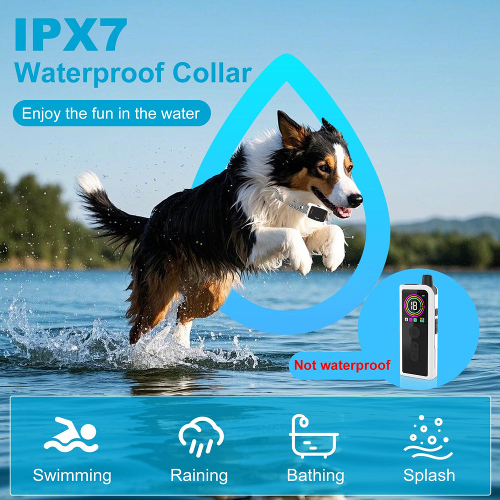 DEIREG IPX7 waterproof design keeps the collar ready for showers, swims, and wet play.