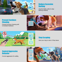 DEIREG dog training modes beeps, vibrations, and static offer humane behavior correction options.