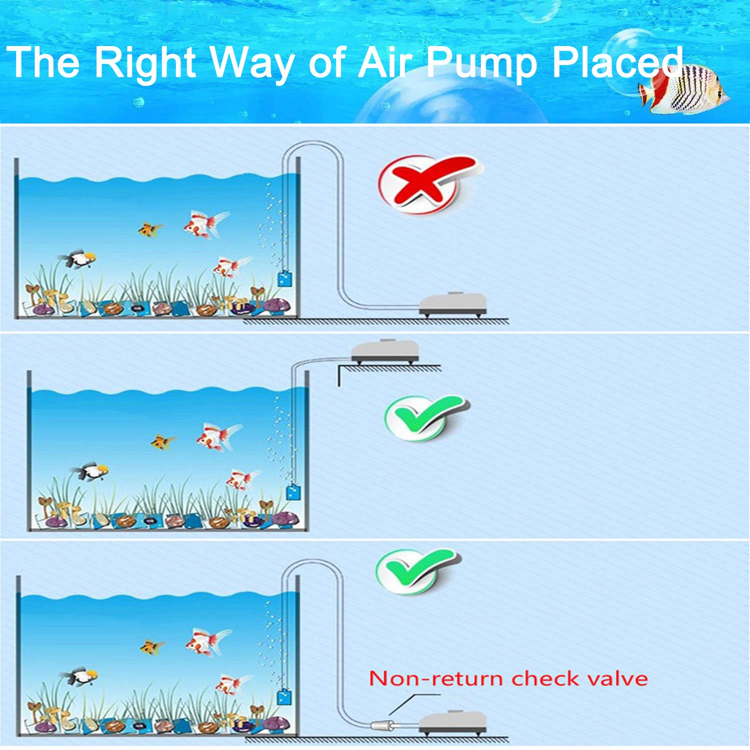 Dekago suction cups secure tubing to glass for steady aeration.