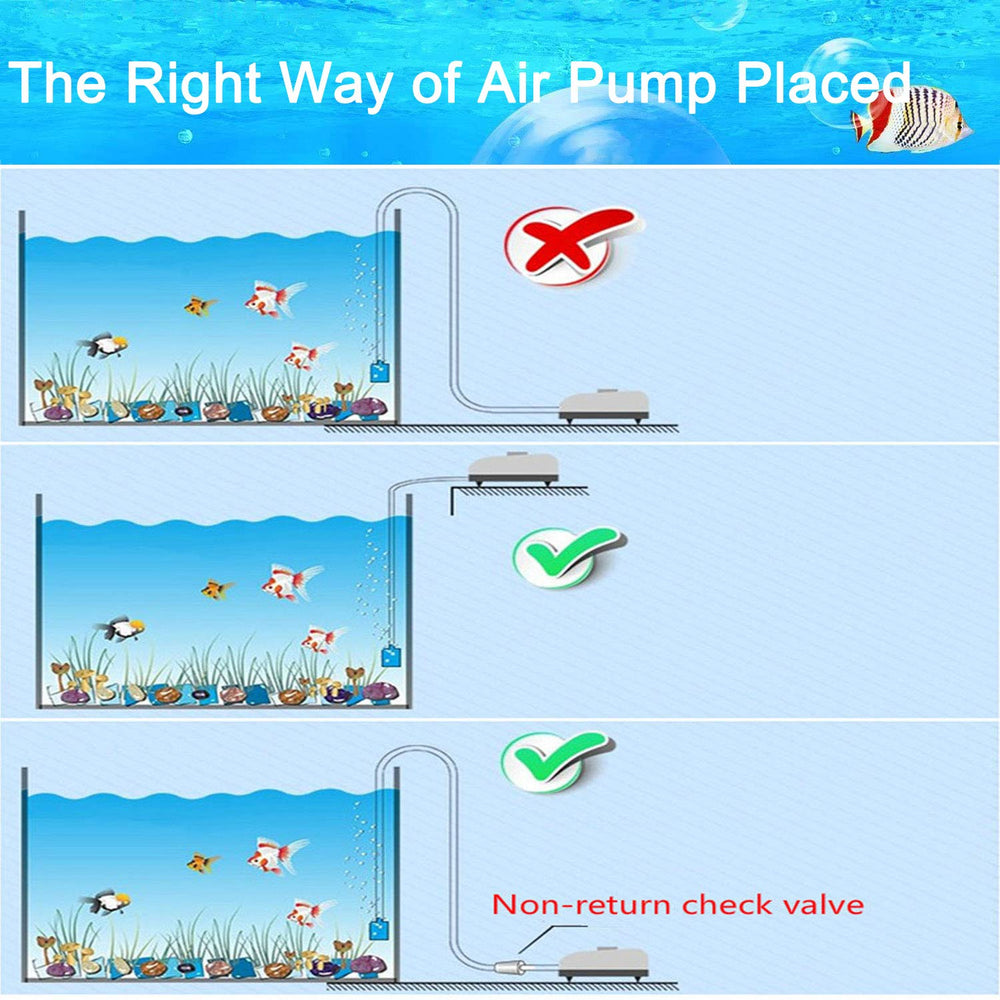 Dekago suction cups secure tubing to glass for steady aeration.