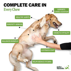 Deley Naturals immune-support chews with vitamins A, C, E for wellness