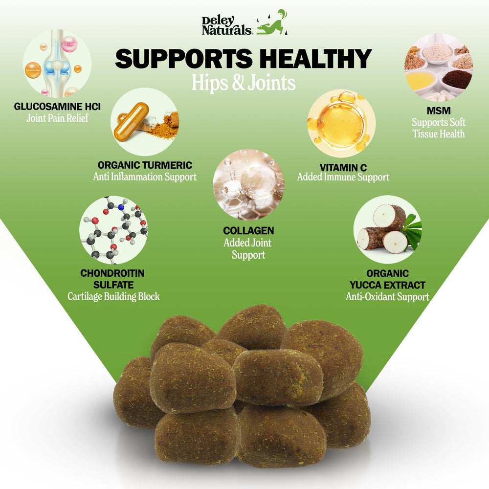 Deley Naturals dog joint chews closeup highlights tasty, mess-free joint care.