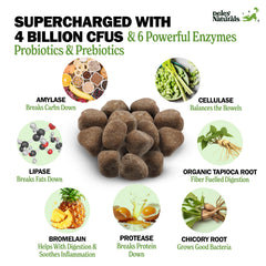 Deley Naturals dog probiotic chews closeup highlighting enzymes and CFUs for digestion.