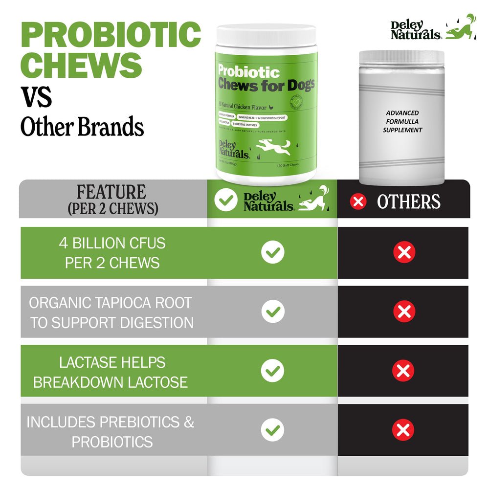 Deley Naturals dog-probiotic-chews-ingredient-tapioca-root-chicory closeup showing clean ingredients.
