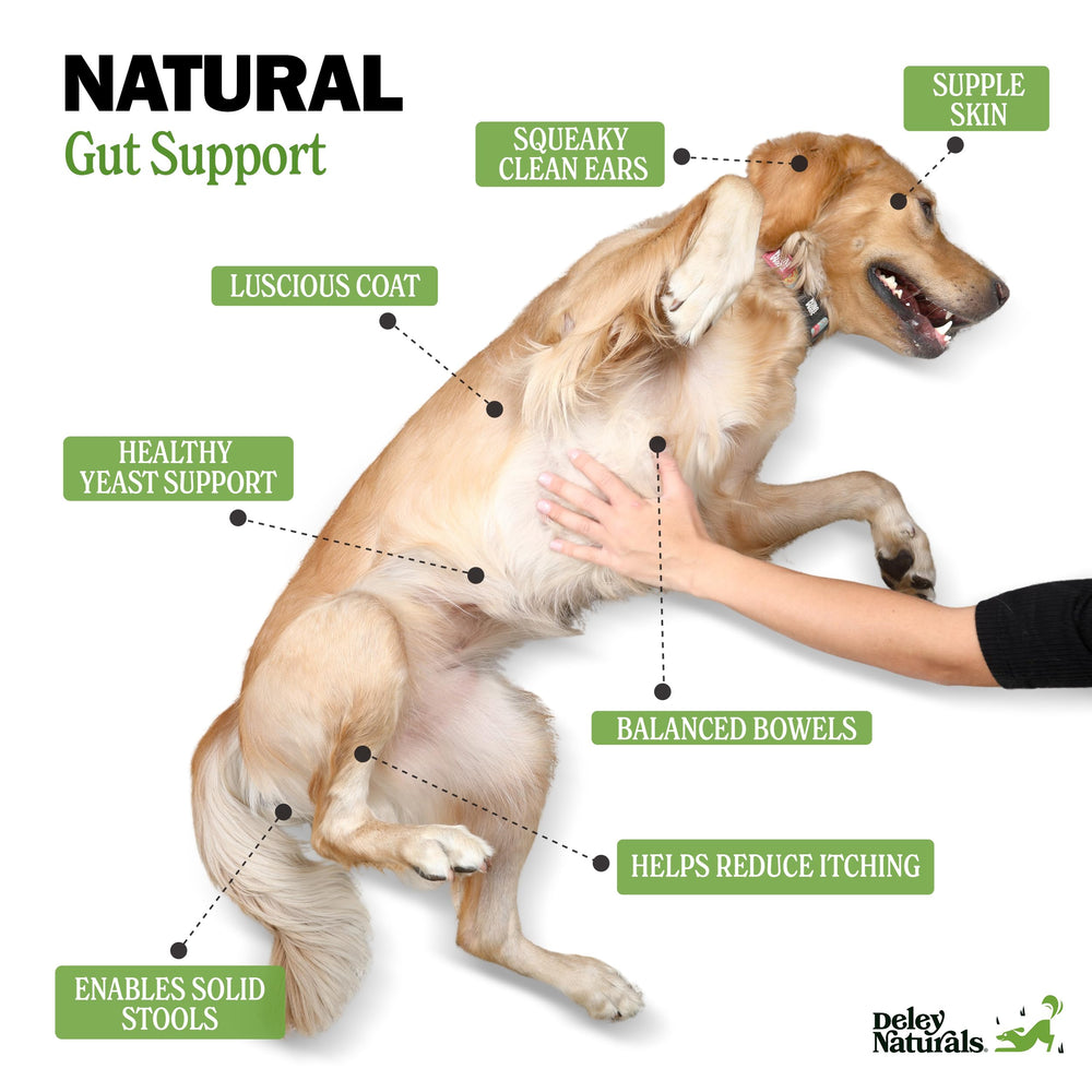 Deley Naturals dog probiotic chews packaging front, USA-made trust for canine health.