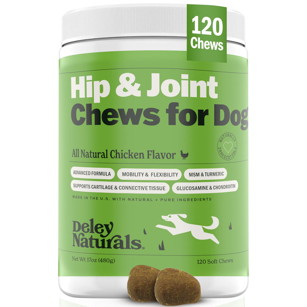Deley Naturals hip and joint supplement bottle offers easy daily mobility support for dogs.