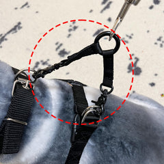Della Stella two-dog coupler enabling hands-free control on walks.