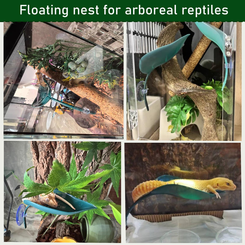 Delllala basking-station-multi-level setup supports varied terrarium activity.