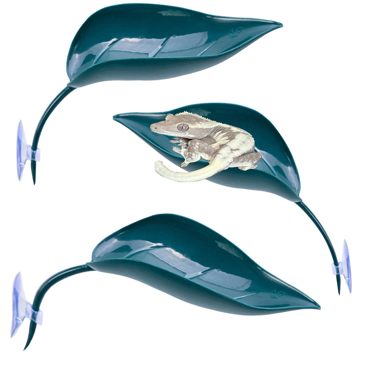 Delllala crested-gecko-hide platform offers versatile climbing levels for small reptiles.