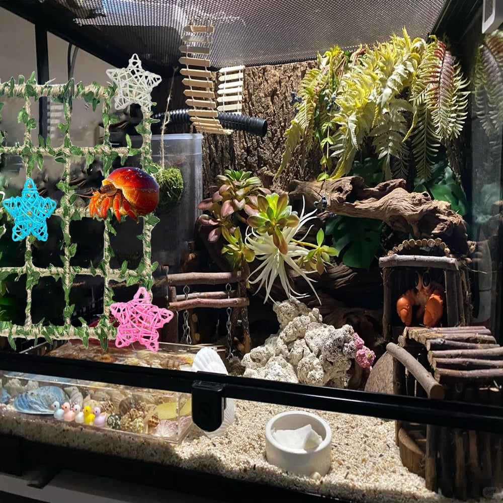 Delllala Hermit Crab Climbing Wall Assembly demonstrates quick, tool-free tank installation.