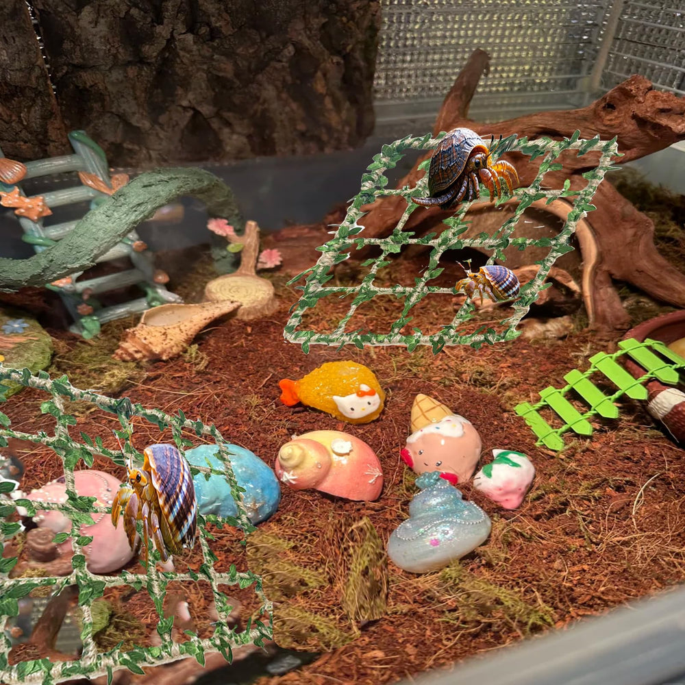 Delllala Hermit Crab Pet Exercise Stimulation supports activity in humidity-friendly habitats.