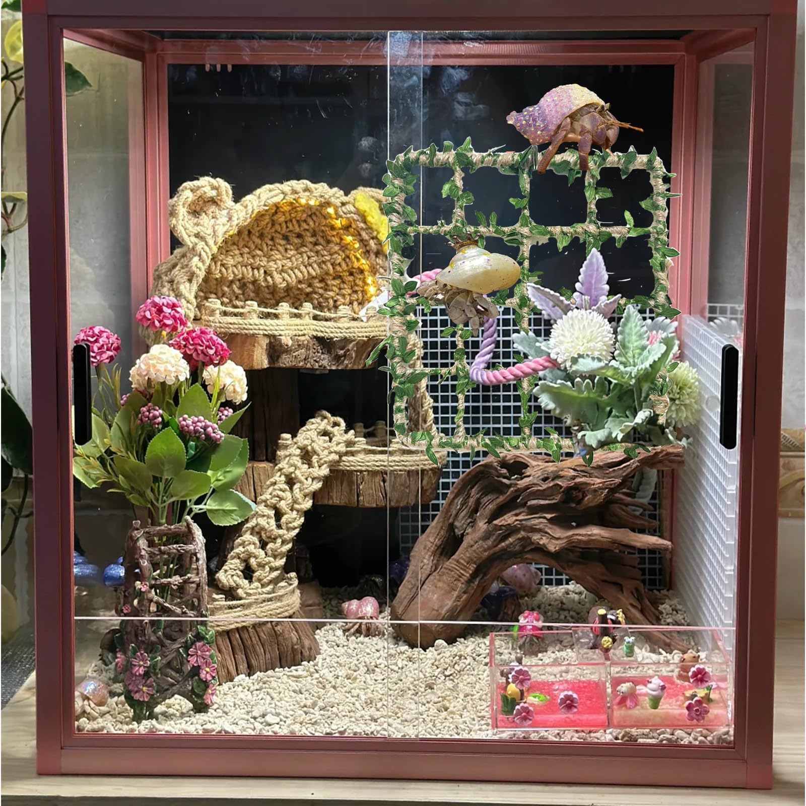 Delllala Hermit Crab Suction Cups Perimeter secure wall attachment for stable enrichment.