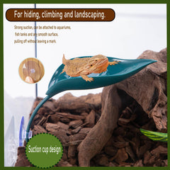 Delllala reptile-leaf-decor-green adds natural hiding and resting spots in terrariums.