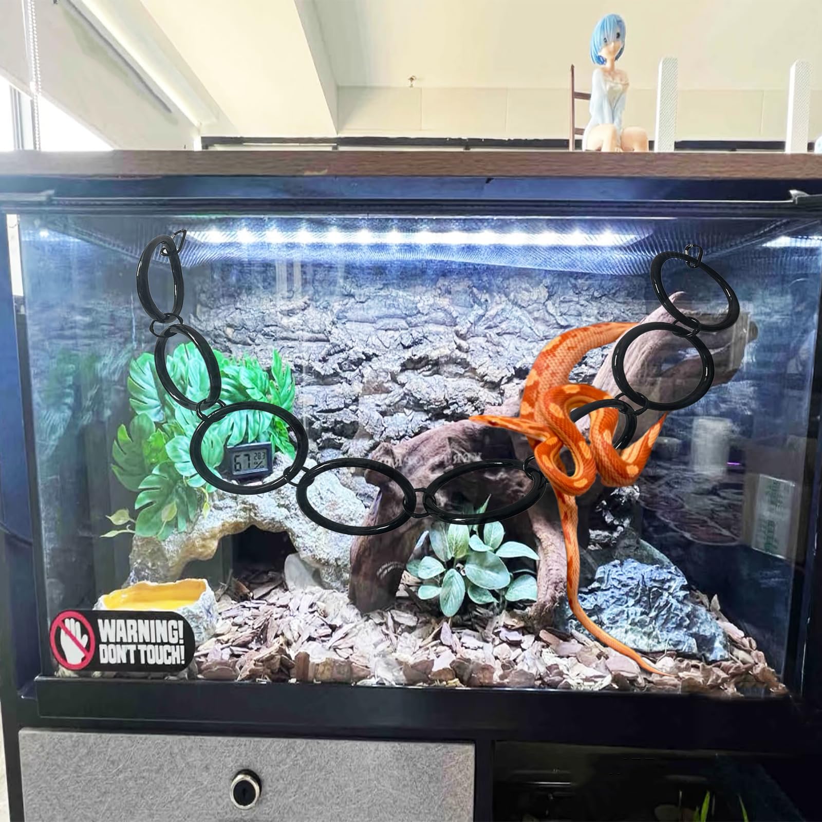 Delllala small-reptile-enrichment-in-action shows engaging climbing activity