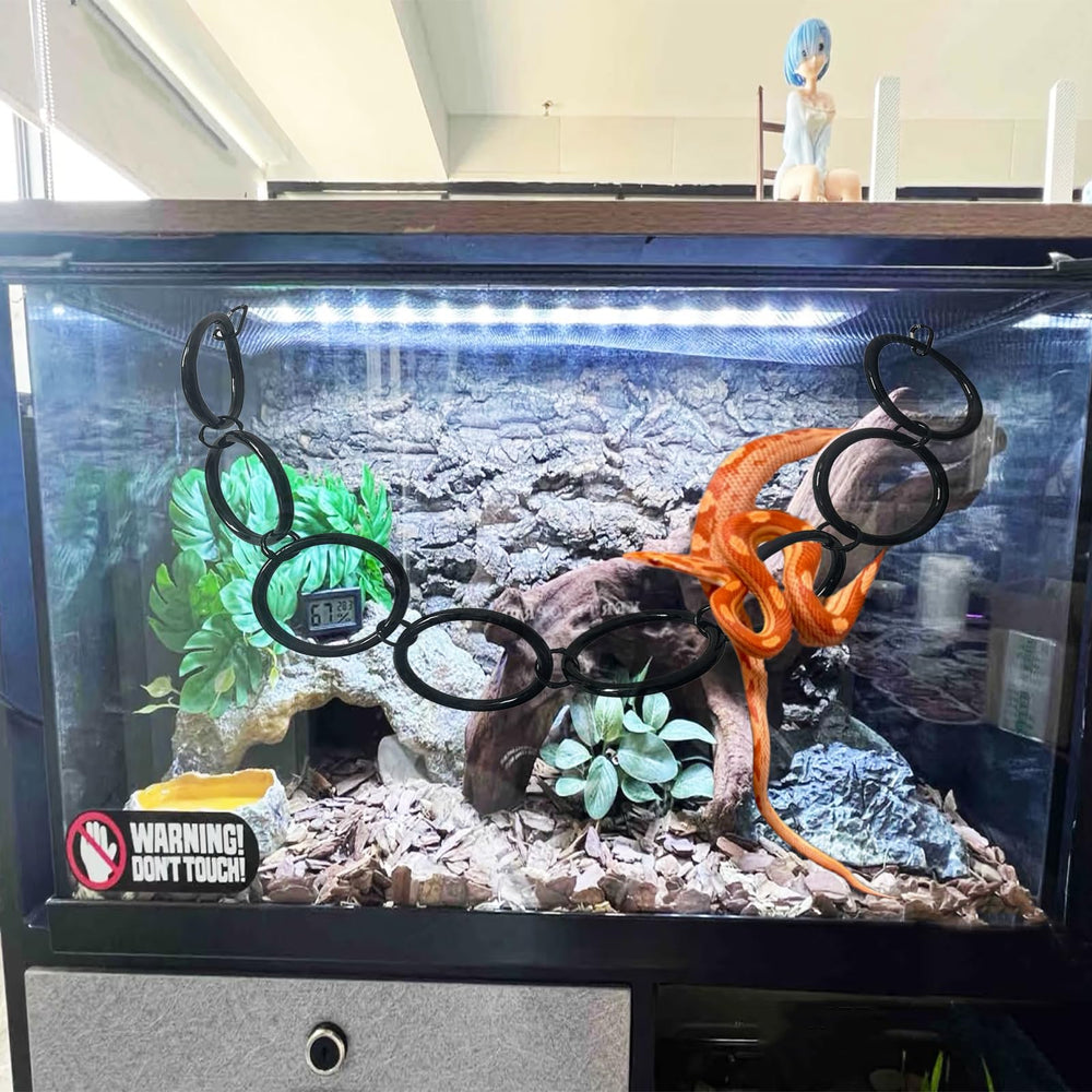 Delllala small-reptile-enrichment-in-action shows engaging climbing activity