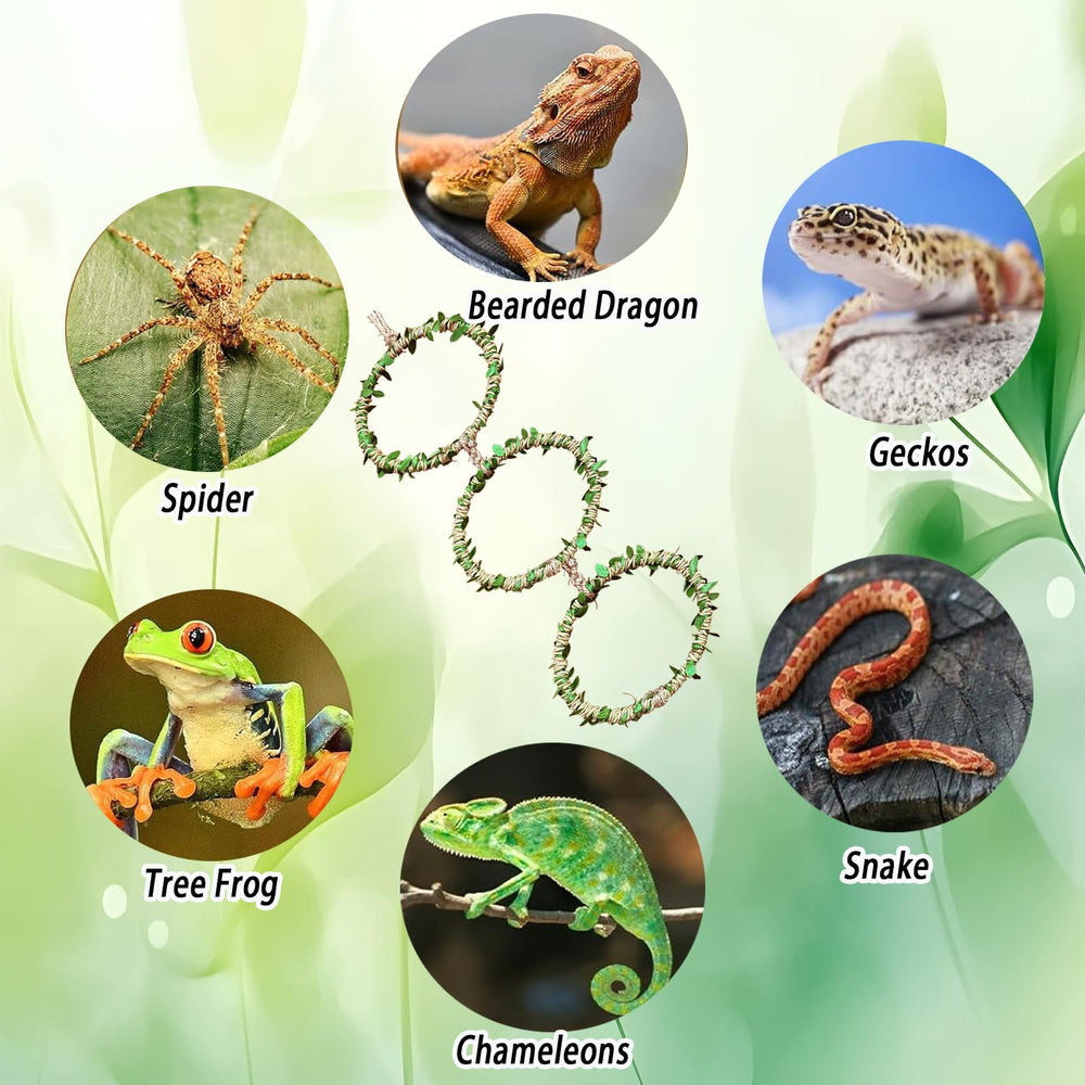 Delllala snake ring enables natural exploration and activity