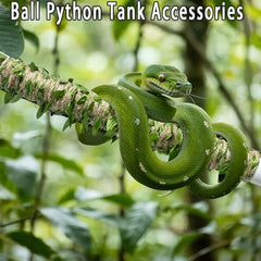 Delllala snake telescopic rod assembly enables quick height adjustments in habitat.