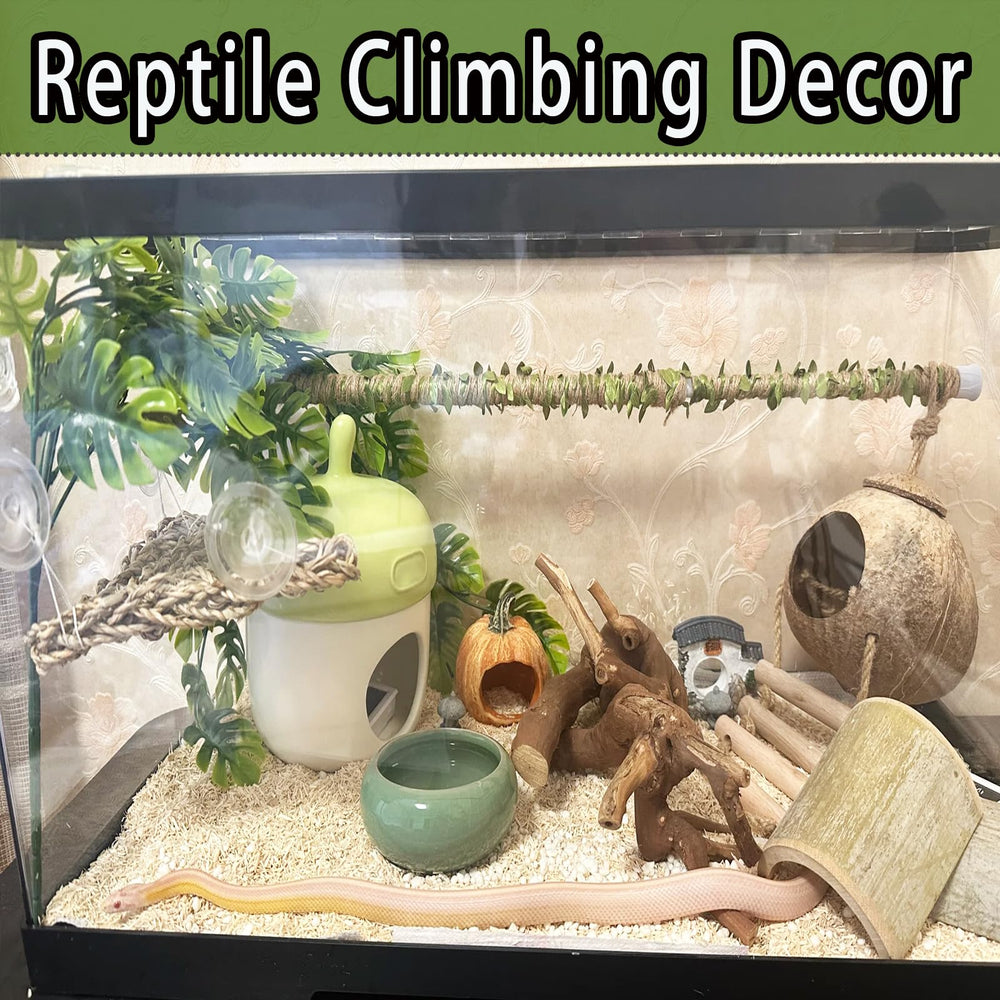 Delllala tank setup aesthetic adds visual appeal and habitat cohesion.