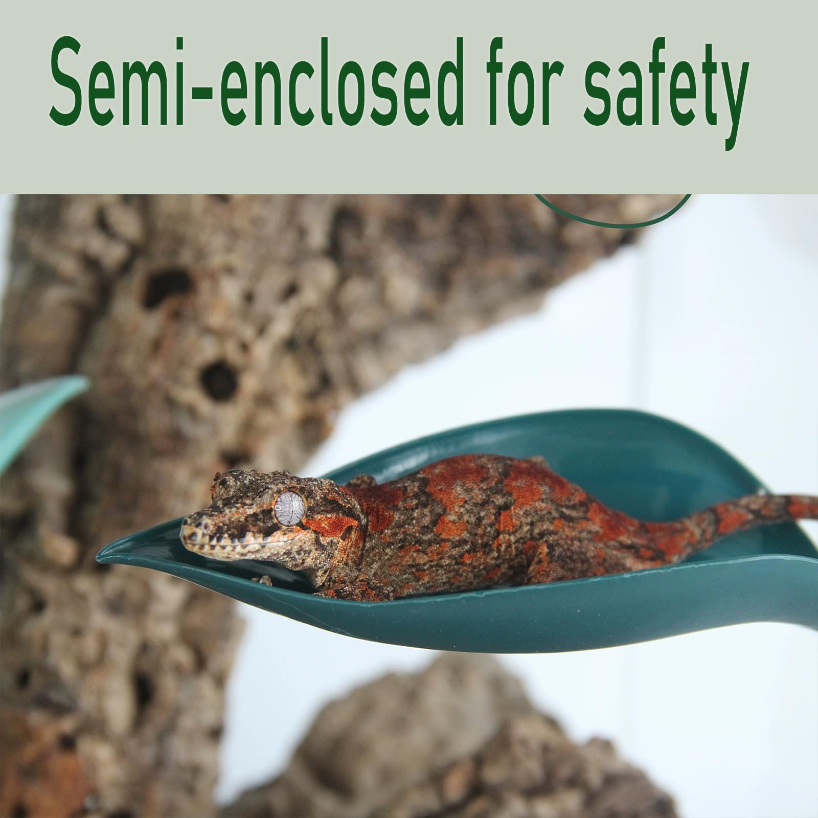 Delllala terrarium-decor-crested-gecko-hide blends with habitat while providing concealment.